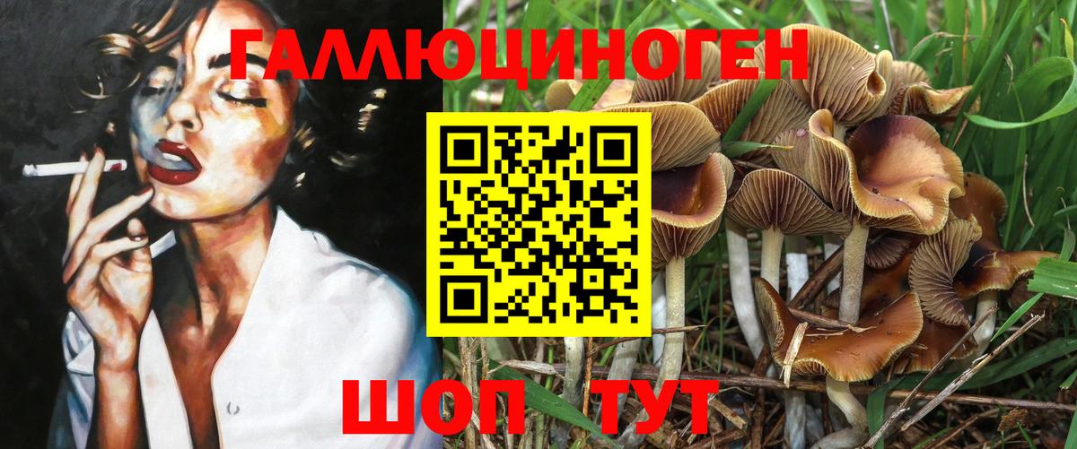 Галлюциногенные грибы мицелий  Вход с VPN  Псилоцибиновые грибы Cubensis  где продают   Волгоград 
